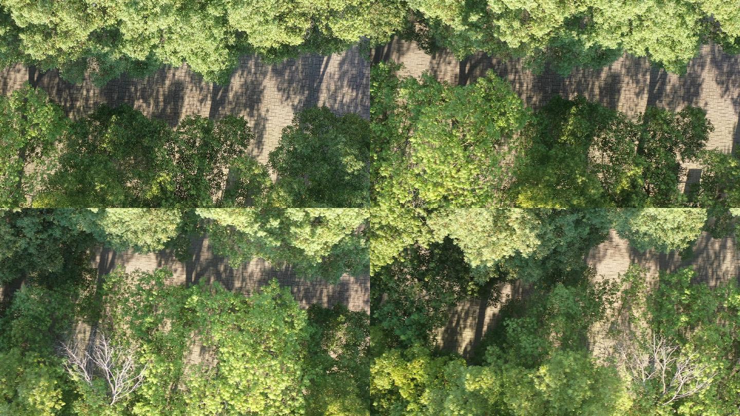 4K原素材-航拍绿色植被树林树荫