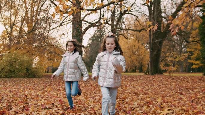 女孩们一起在秋天公园跑步