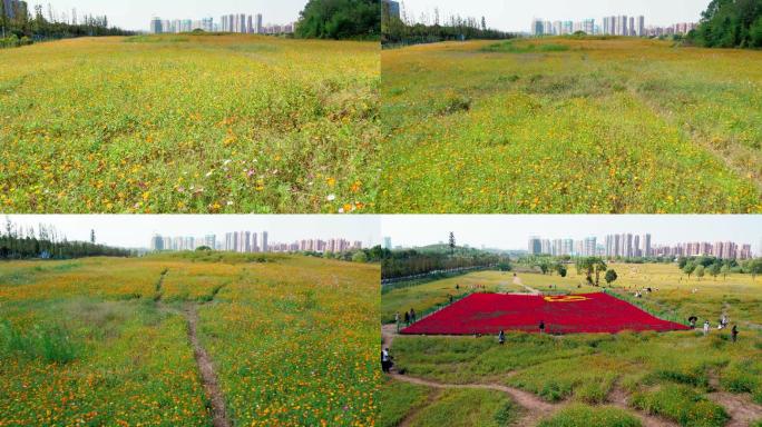 4K武汉东湖光谷九峰山菊花海公园秋天航拍