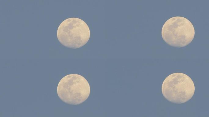 天上的月亮。超级月亮白天升起动画
