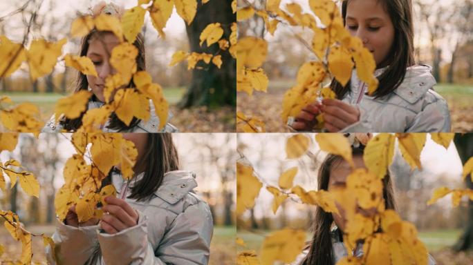 拿着黄叶的女孩枫叶落叶秋天银杏古树枯树