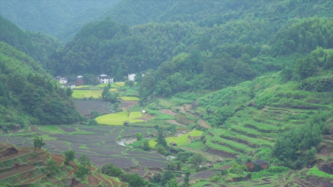 最美乡村江西婺源篁岭风景梯田航拍C003