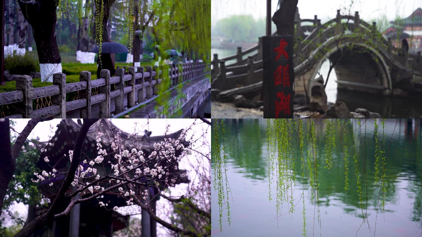 升格拍摄济南雨后大明湖