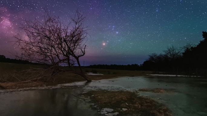 呼伦贝尔春季树影的银河星空日转夜延时视频