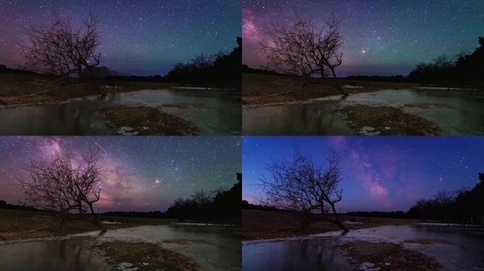 呼伦贝尔春季树影的银河星空日转夜延时视频