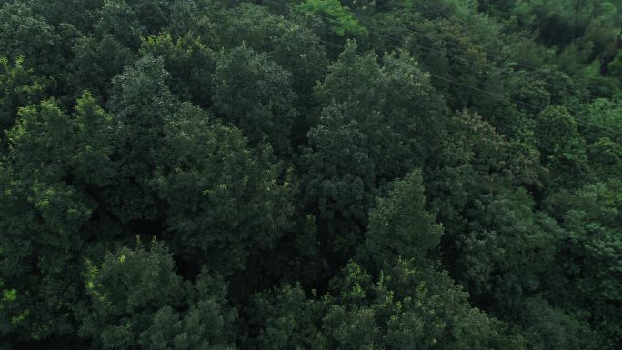 航拍山景蓝天树林大山