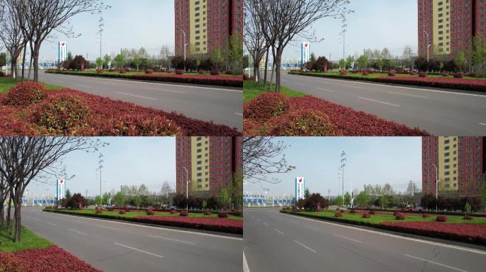【4K】原创城市道路交通绿化带B
