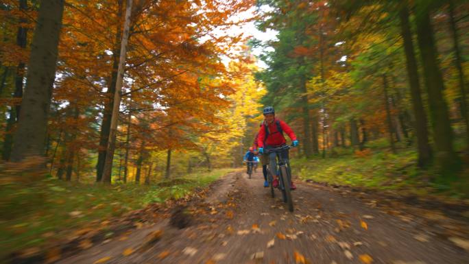 在秋天的森林里骑自行车