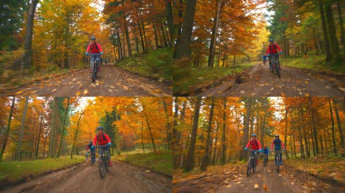 在秋天的森林里骑自行车