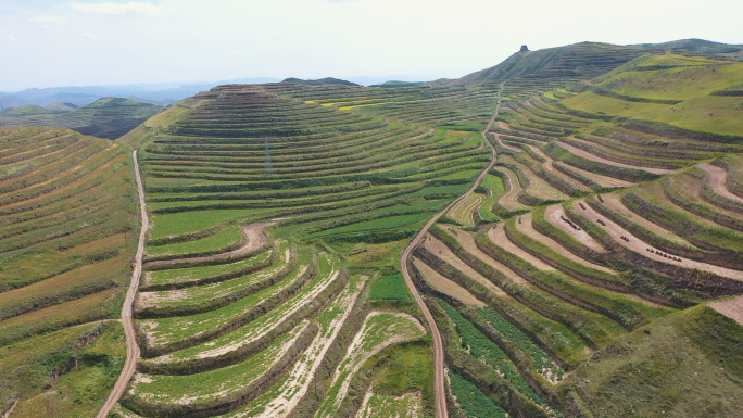 2K西北梯田高原夏菜