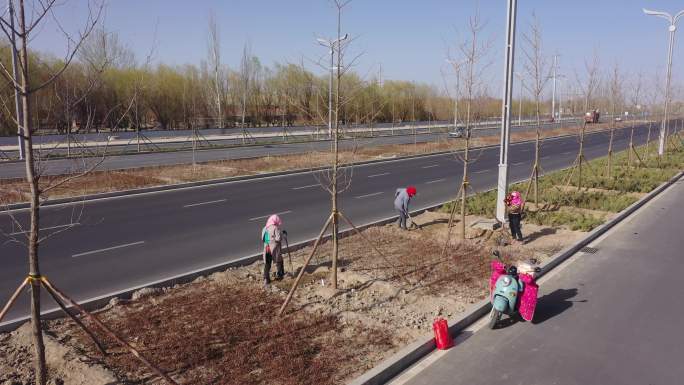 公路绿化施工
