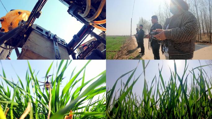 【4K】小麦无人机植保 小麦春季管理