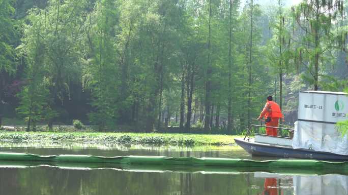 打捞水草 生态保护