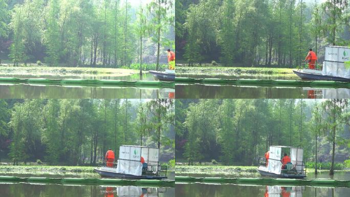 打捞水草 生态保护