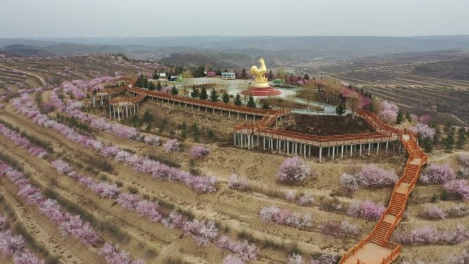 彭阳山花节金鸡坪梯田公园航拍