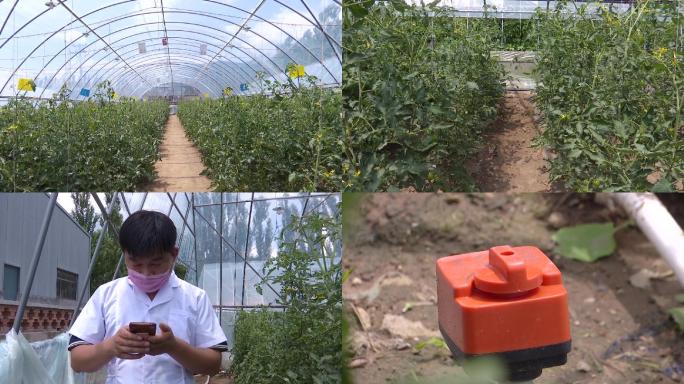 现代种植大棚高科技仪器装置服务菜农智慧