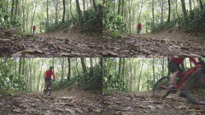 男性山地车骑手在森林中骑行