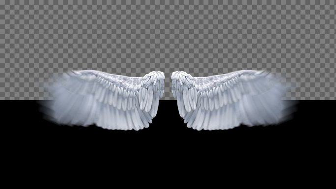 带通道神圣天使羽毛翅膀循环