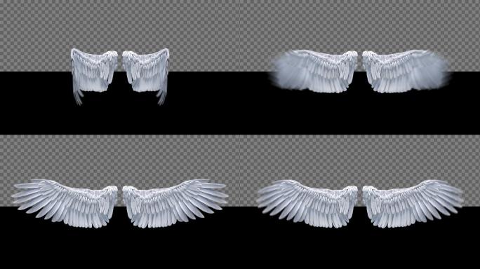 带通道神圣天使羽毛翅膀循环