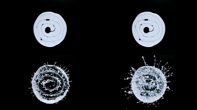 水滴从一个黑白色斑飞向空中