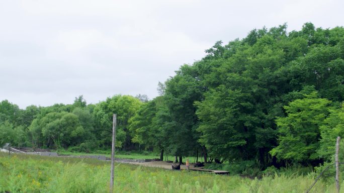 农村田野风景