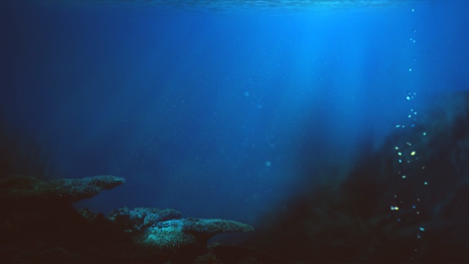 海洋水下环境纯净海底深蓝色海洋