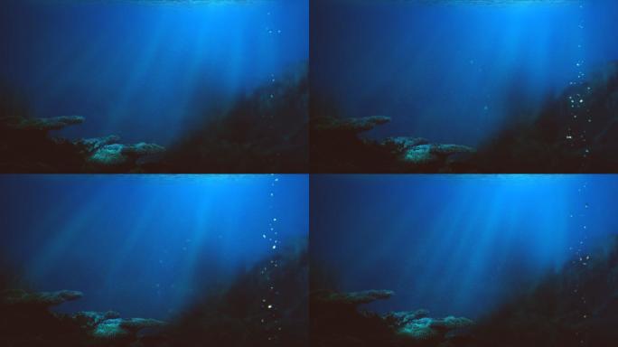 海洋水下环境纯净海底深蓝色海洋