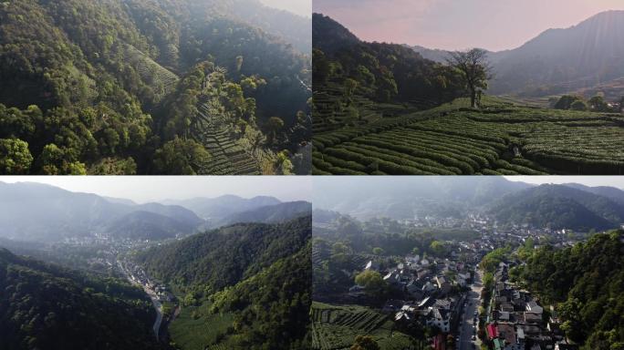 浙江杭州梅家坞梅家坞景区龙井茶园航拍4