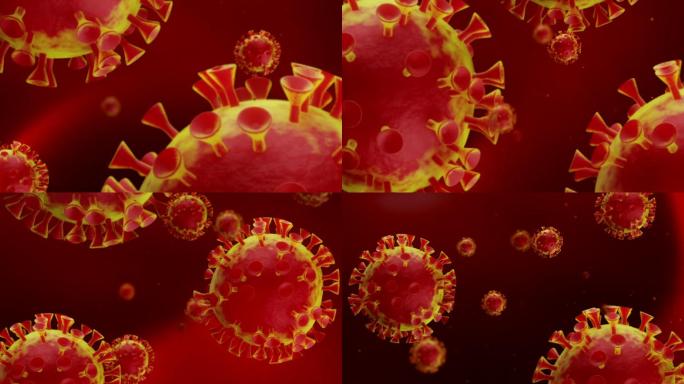 冠状病毒细胞视频
