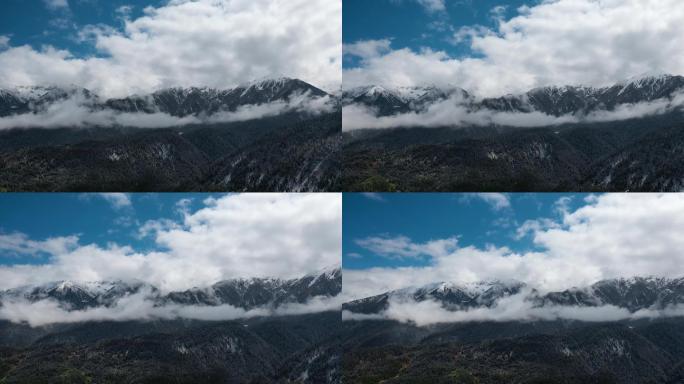 雪山云雾视频蓝天白云玉带云环绕雪峰森林