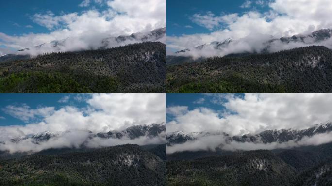 雪山云雾视频玉带云环绕雪山雪峰高山森林