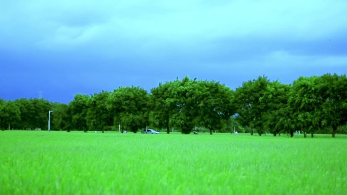 乡下蓝天绿树田野 的自然生态 农业