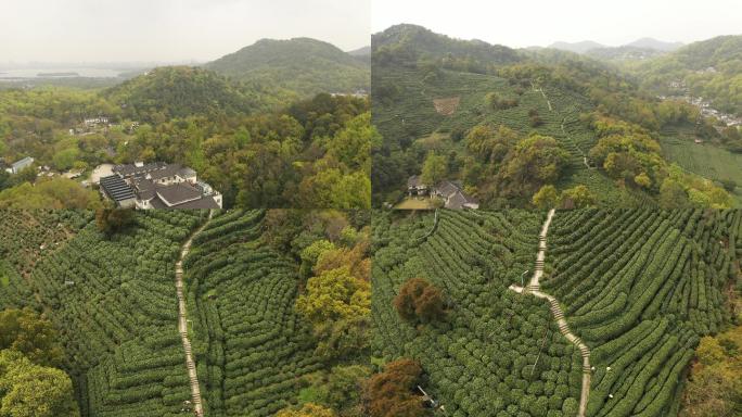 航拍浙江杭州西湖龙井茶一级产区满觉陇村