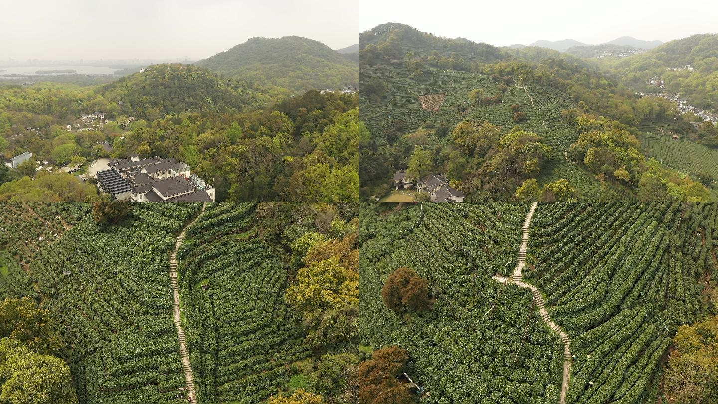 航拍浙江杭州西湖龙井茶一级产区满觉陇村