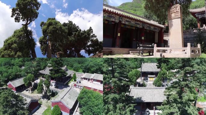 深山古刹古寺龙泉寺石狮子松柏