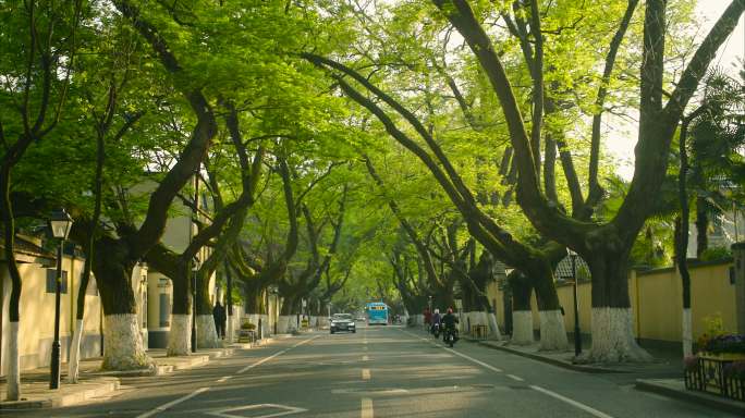 南京颐和路