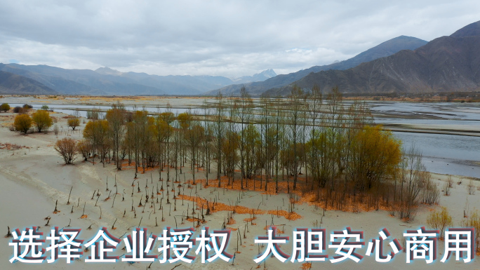 河流沙洲视频西藏风光尼洋河交错河流沙洲岛