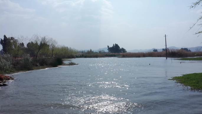 昆明  民族村 建筑  油菜花 湿地