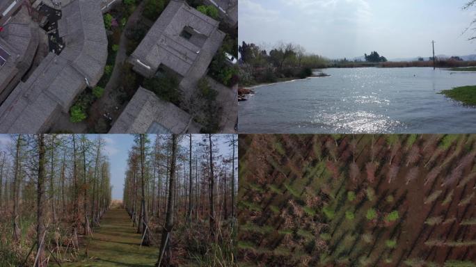 昆明  民族村 建筑  油菜花 湿地