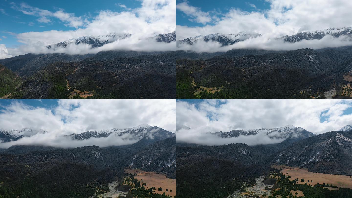 雪山云雾视频玉带云环绕雪山雪峰森林草原