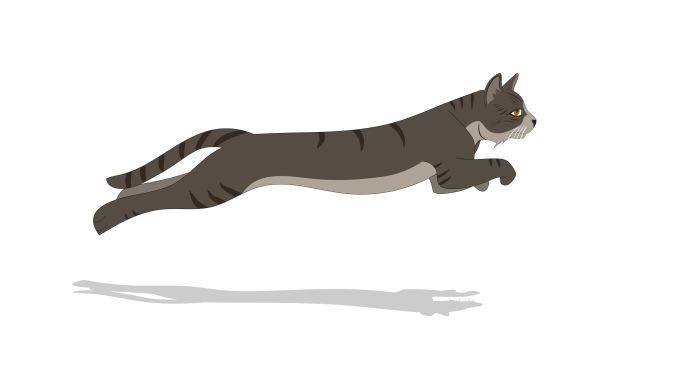 猫在跑的动画可爱抠像通道