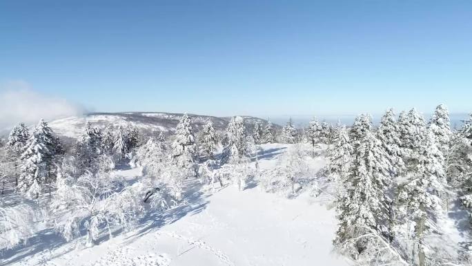 雪景