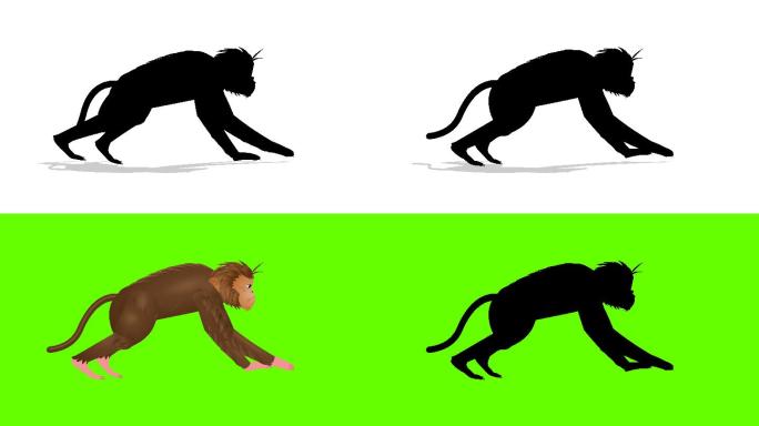 猴子奔跑循环动画
