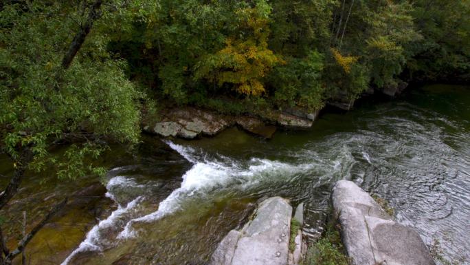 林间清澈小溪缓流石头河流向下流淌树林绿色