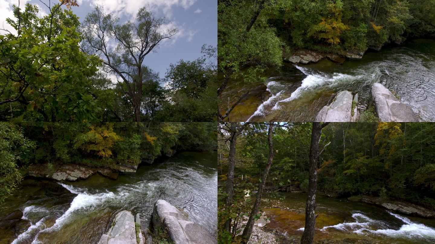 林间清澈小溪缓流石头河流向下流淌树林绿色