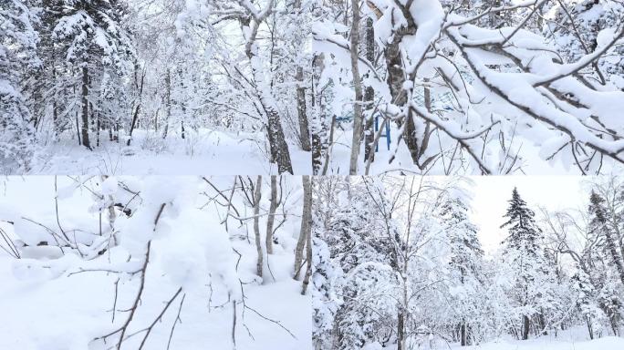 雪景特写