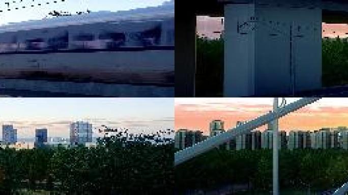 【超宽屏】三维城市交通枢纽高架桥动车行驶