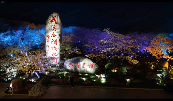 武汉东湖樱花园夜景航拍