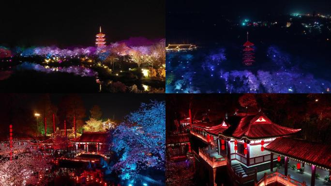 武汉东湖樱花园夜景航拍