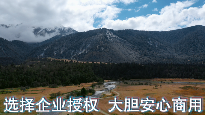 雪山河谷视频西藏风光青藏高原高山峡谷牧场